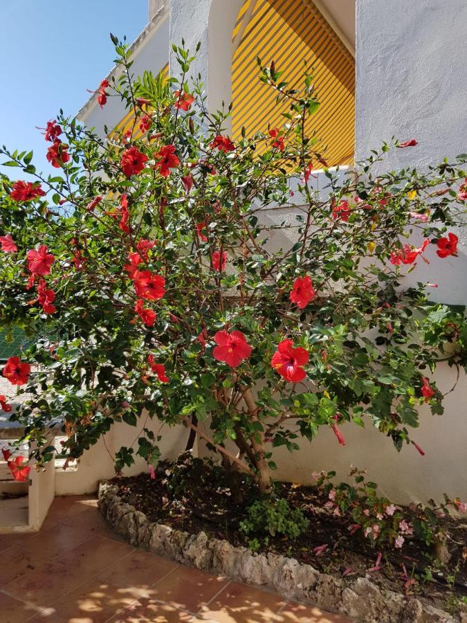 Deluxe Studio Athos 50 Mp Garden Patio Benalmadena Golf & Beach Exterior foto