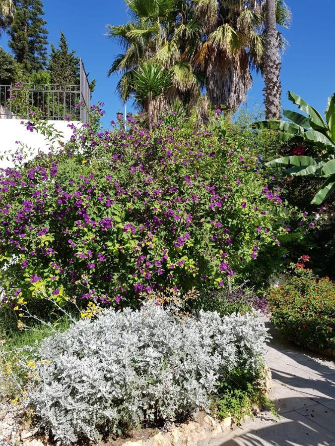Deluxe Studio Athos 50 Mp Garden Patio Benalmadena Golf & Beach Exterior foto