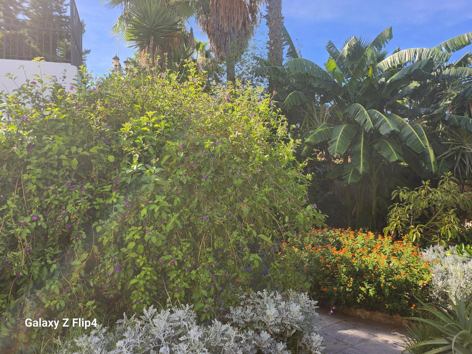 Deluxe Studio Athos 50 Mp Garden Patio Benalmadena Golf & Beach Exterior foto